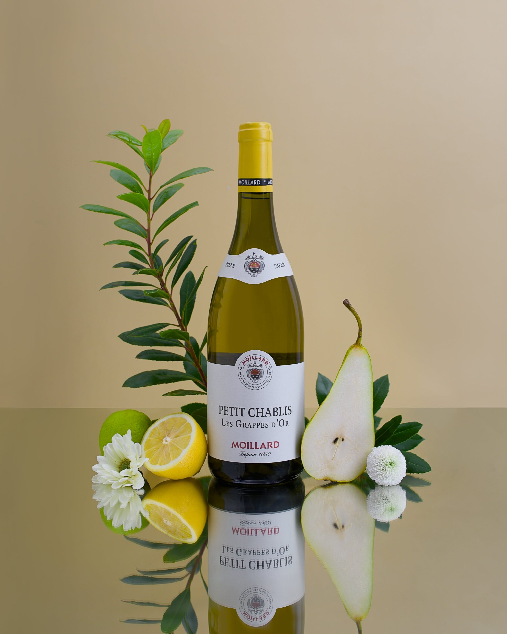 chablis 1VF2 4:5 80%